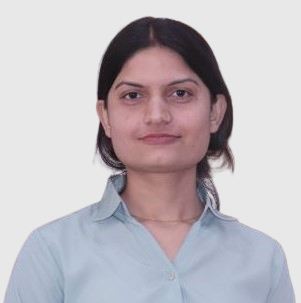 Web Developer