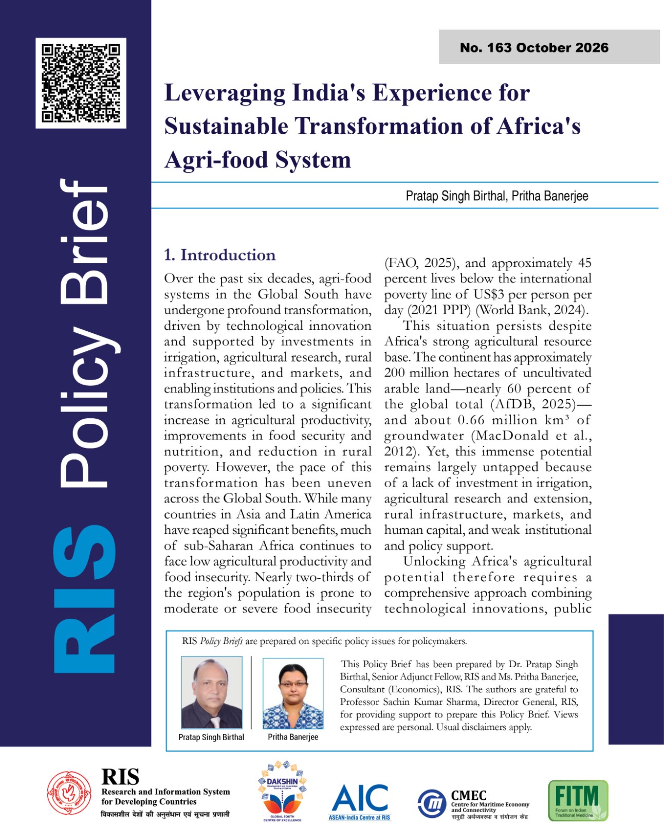 Policy Brief No. 163